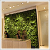 屋内の壁面緑化システム　プラントウォール