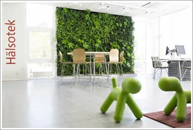 室内の壁面緑化　プラントウォール